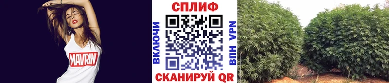 kraken онион  Сысерть  Бошки марихуана AK-47  купить наркоту 